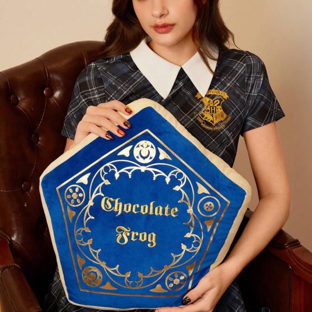 HARRY POTTER X Chocolate Frog Letter Printed Shaped Soft Cushion,Gifts
